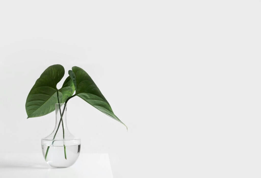 A minimalist workspace setup with a clear glass vase holding green leaves on a white table, symbolizing simplicity and natural elements in workplaces for wellness.